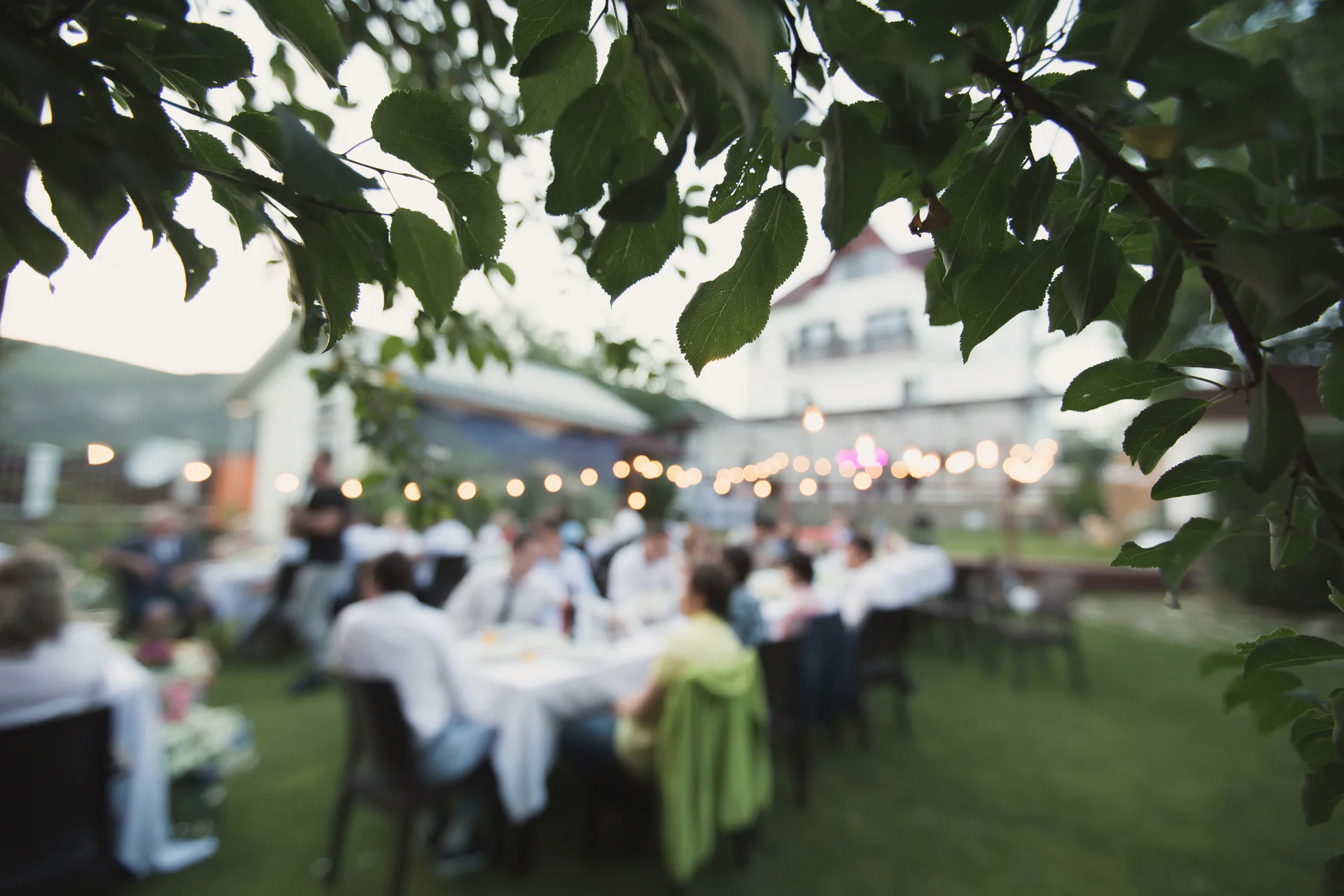 A group gathered for dinner outdoors in the evening, under trees and string lights.