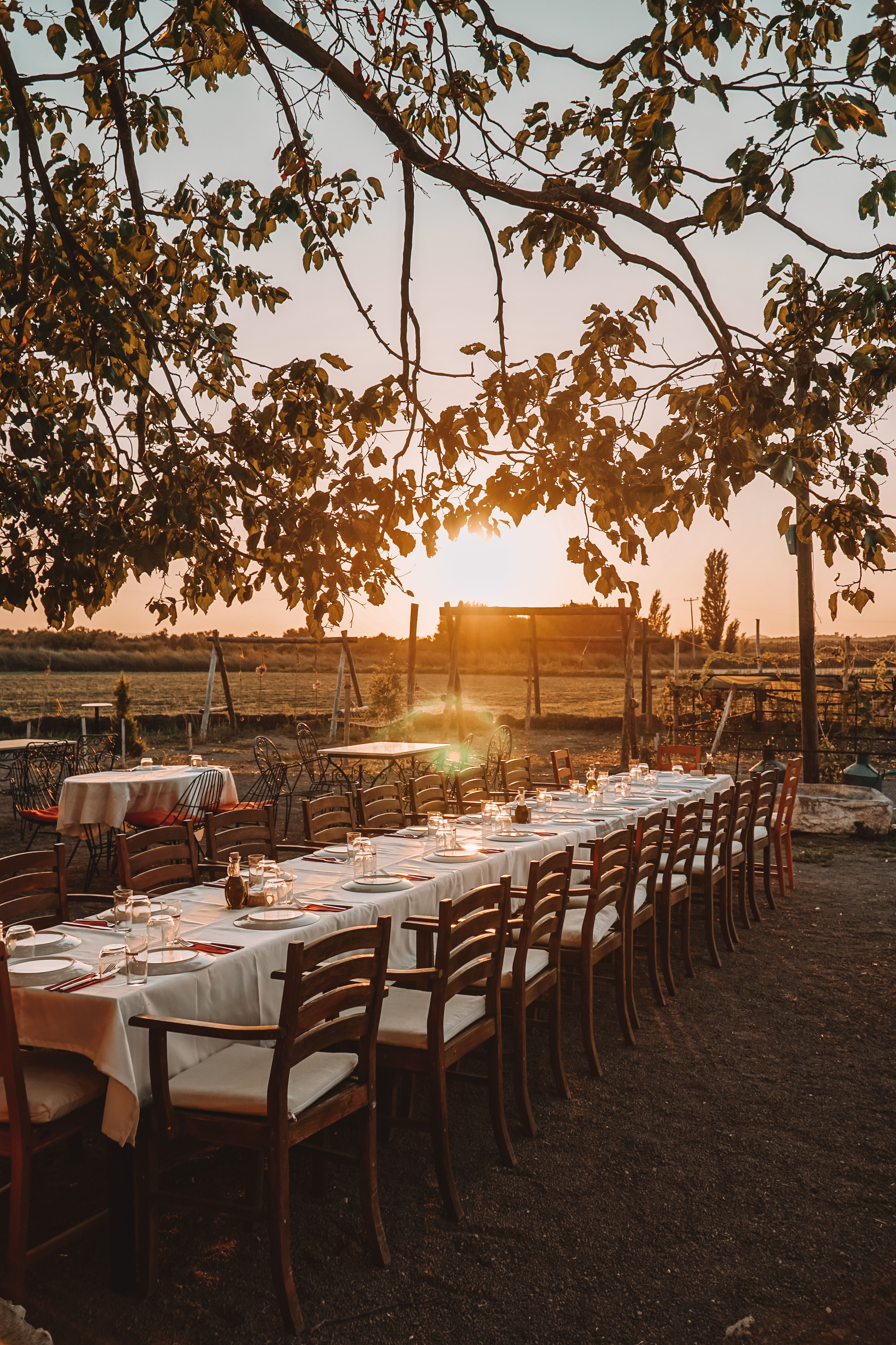 A long table set for dinner outdoors, beneath a tree at sunset.